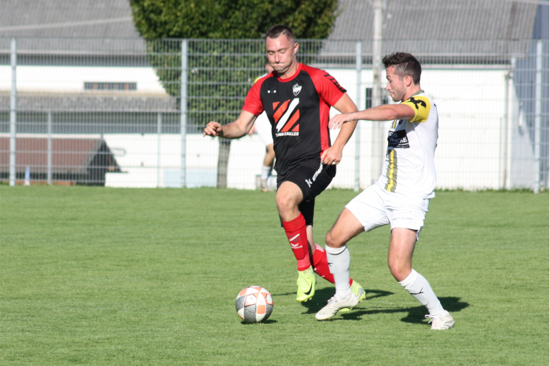 Featured image for Himmelhoch jauchzend, zu Tode betrübt